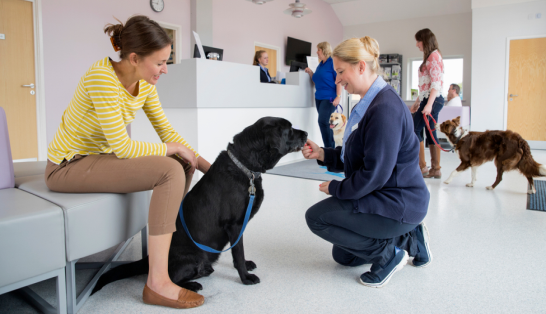 Provider Spotlight: Chunk Training