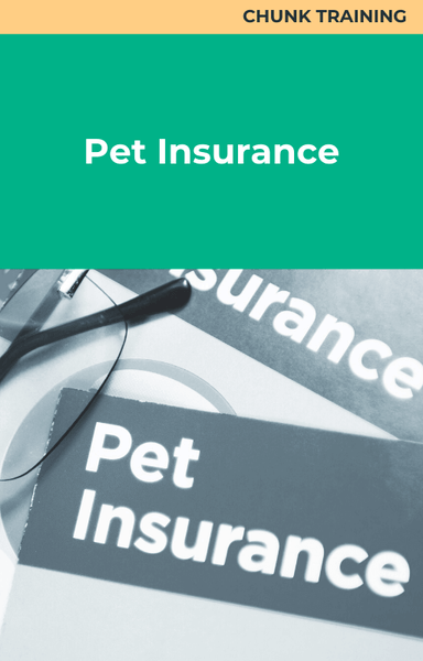 Pet Insurance