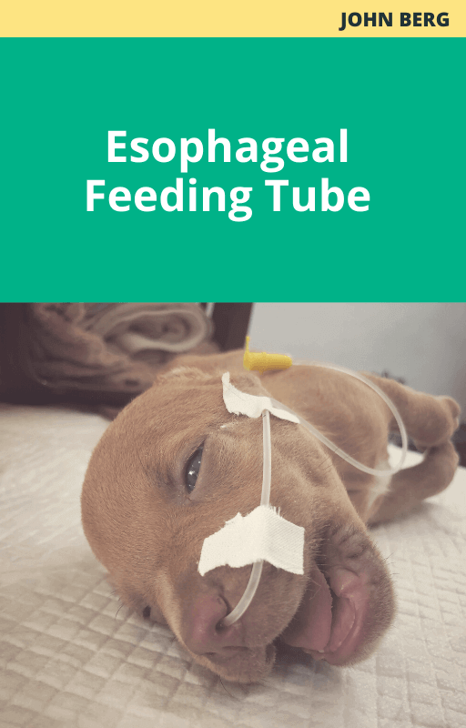 John Berg Esophageal Feeding Tube