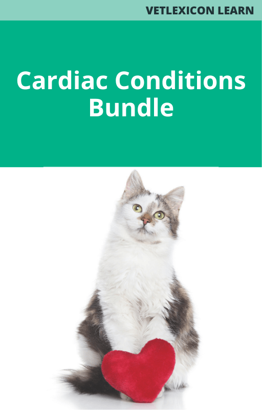 Cardiac Conditions Bundle