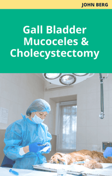 John Berg Gall Bladder Mucoceles and Cholecystectomy