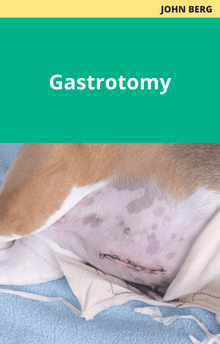John Berg Gastrotomy