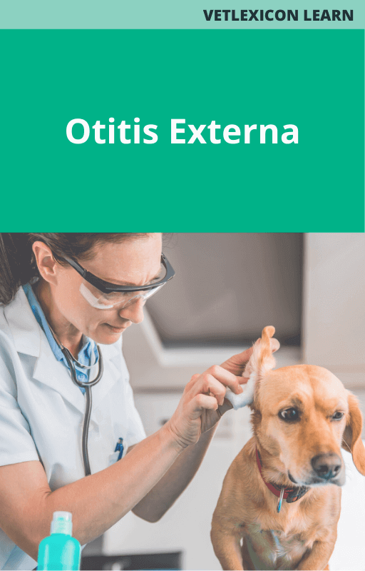 Canine Otitis Externa
