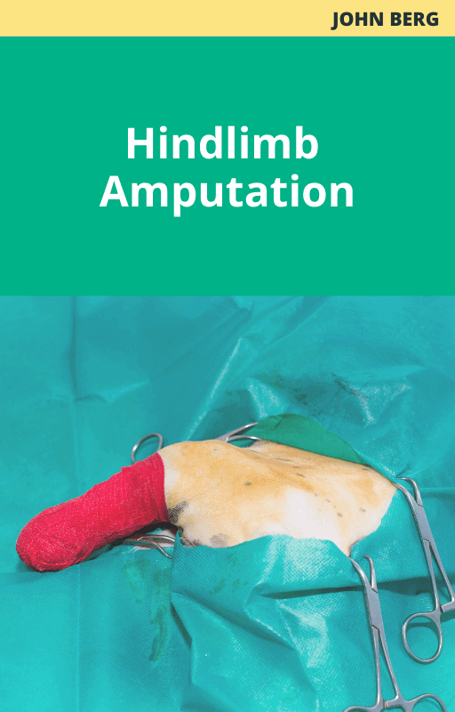 Hindlimb Amputation