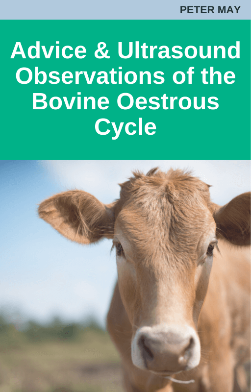 Advice and Ultrasound Observations of the Bovine Oestrous Scycle