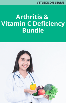 Arthritis and Vitamin C Deficiency Bundle Guinea Pig