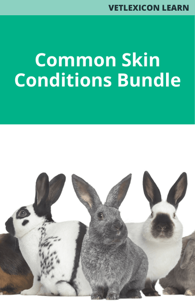 Common Skin Conditions Bundle (Rabbits)
