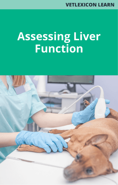 Assessing Liver Function