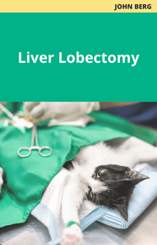John Berg Liver Lobectomy