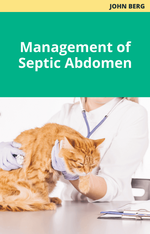 John Berg Management of Septic Abdomen