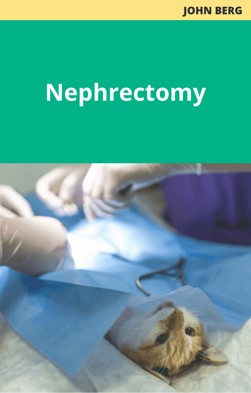 John Berg Nephrectomy