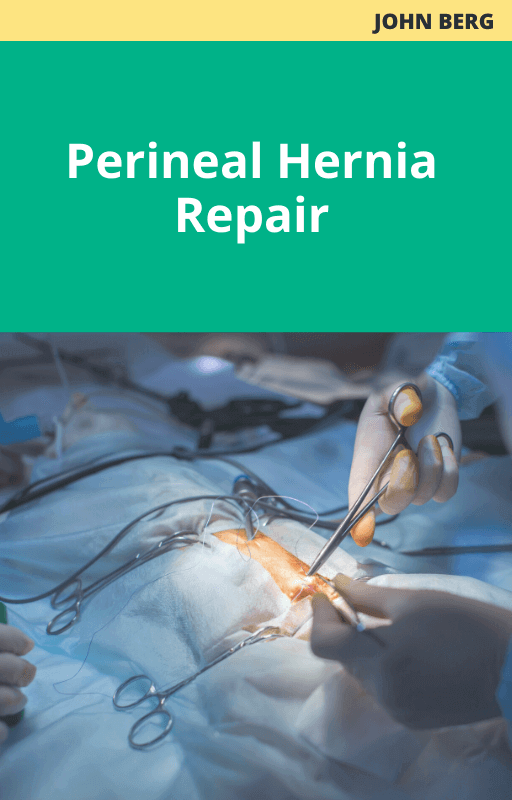 John Berg Perineal Hernia Repair
