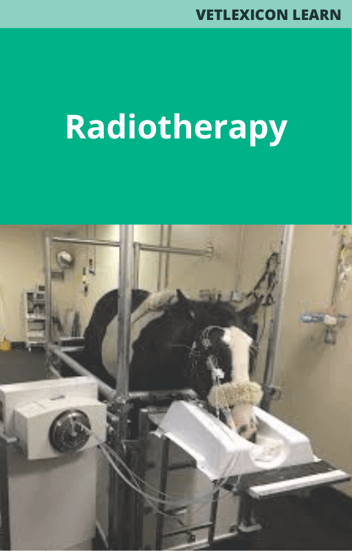 Radiotherapy (Equine)