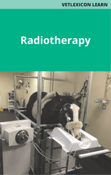 Equine Radiotherapy