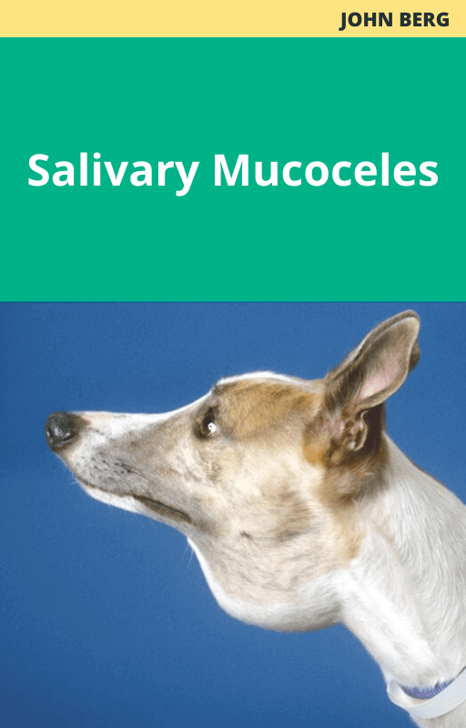 John Berg Salivary Mucoceles
