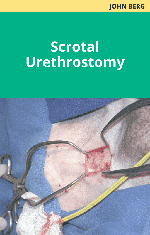 Scrotal Urethrostomy