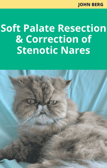 John Berg Soft Palate Resection and Correction of Stenotic Nares