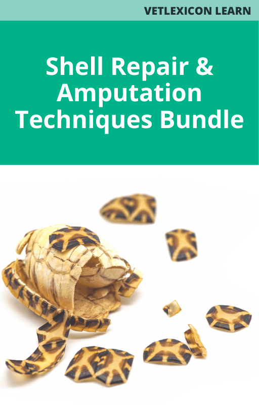 Reptile Shell Repair and Amputation Techniques Course Bundle