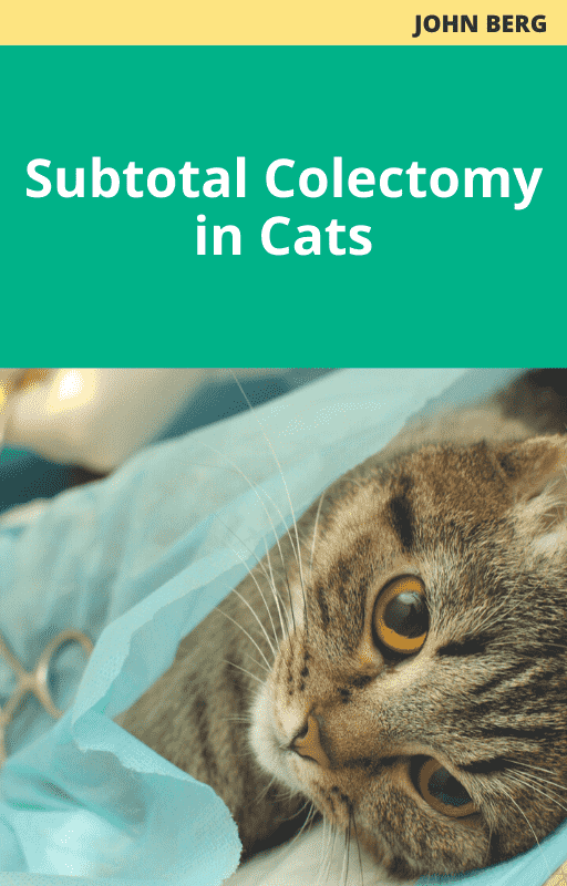 John Berg Subtotal Colectomy in Cats