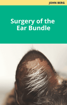 John Berg Surgery of the Ear Course Bundle