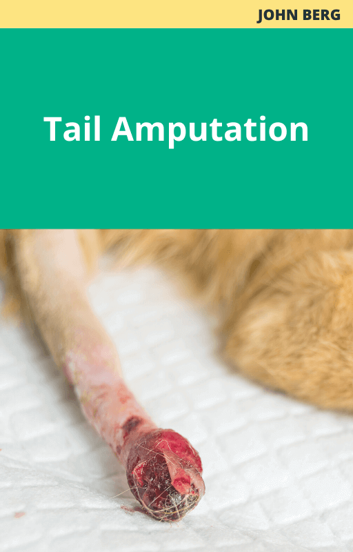 Tail Amputation