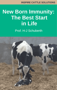 Bovine New Born Immunity: The Best Start in Life. Prof. H-J Schuberth