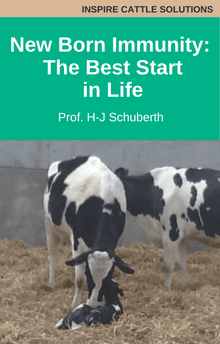 Bovine New Born Immunity: The Best Start in Life. Prof. H-J Schuberth