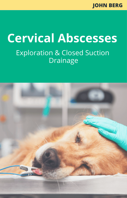 Cervical abscesses: Exploration and closed suction drainage