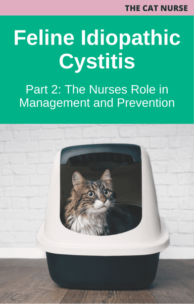 Feline Idiopathic Cystitis Part 2: The Nurse’s Role in Management and Prevention