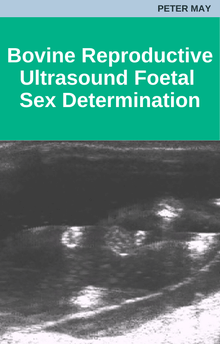 Bovine Reproductive Ultrasound Foetal Sex Determination