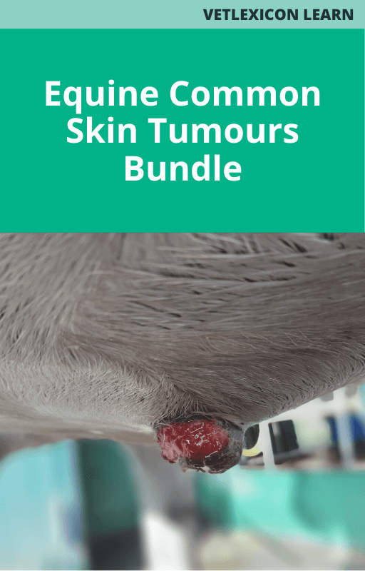 Equine Common Skin Tumours Bundle