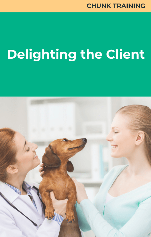 Chunk Training Delighting the Client