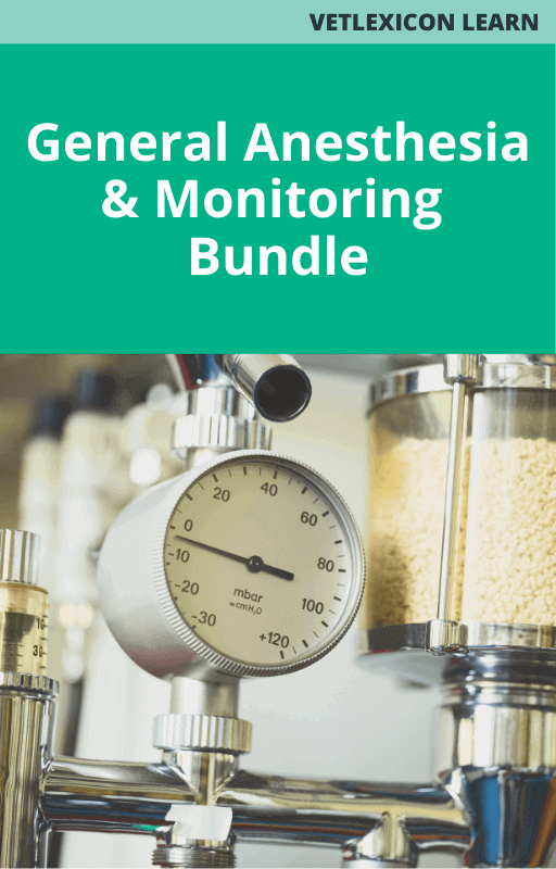 Canine General Anesthesia and Monitoring Bundle