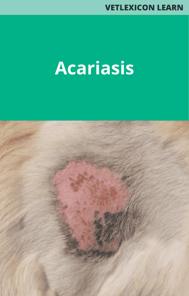 Acariasis
