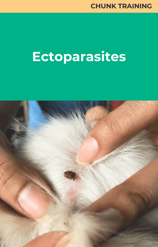 Ectoparasites