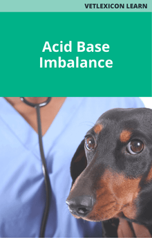 Canine Acid Base Imbalance