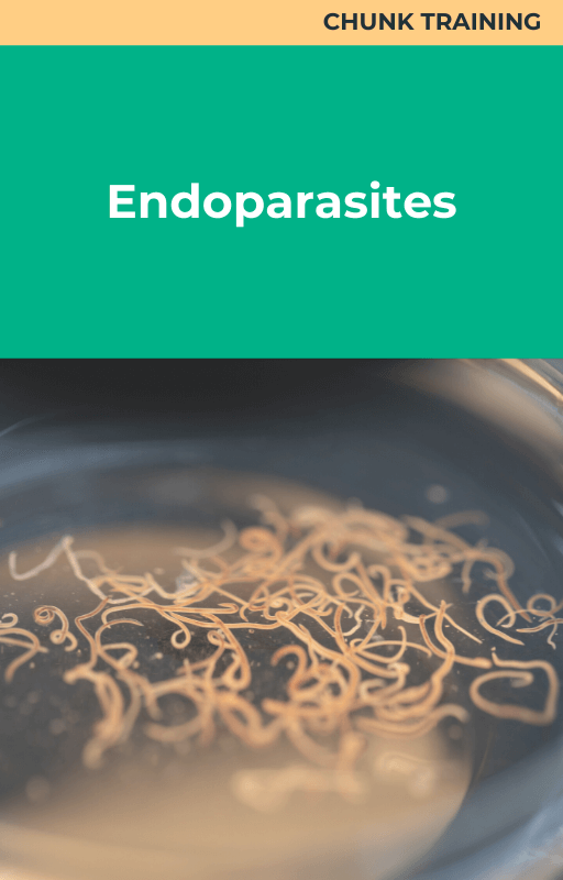 Endoparasites