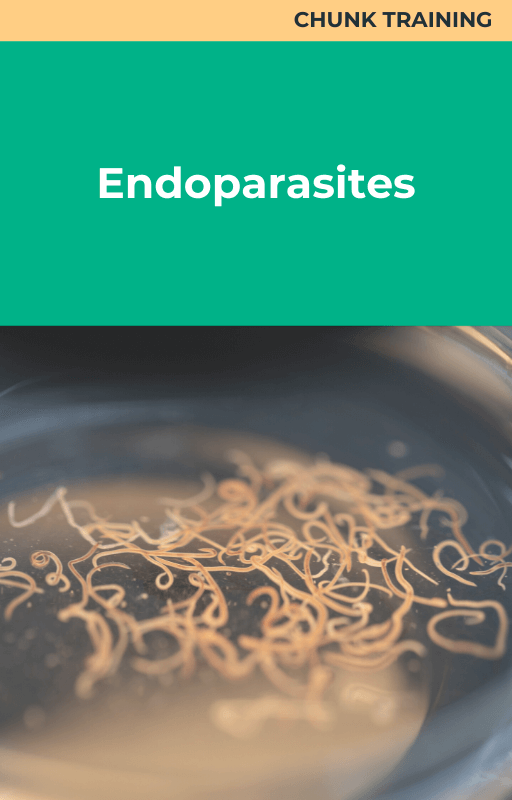 Endoparasites Chunk Training