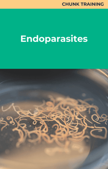 Endoparasites Chunk Training