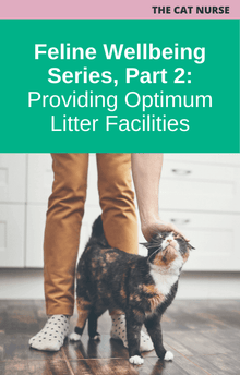 The Cat Nurse Feline Wellbeing Series Part 2 Providing Optimum Litter Facilities