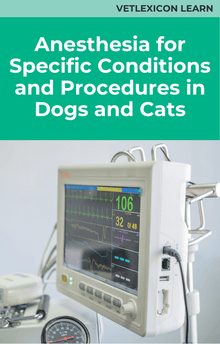 Anesthesia for Specific Conditions and Procedures in Dogs and Cats