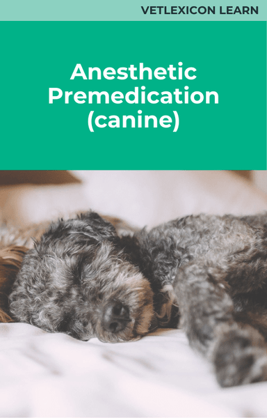 Anesthetic Premedication (Canine)