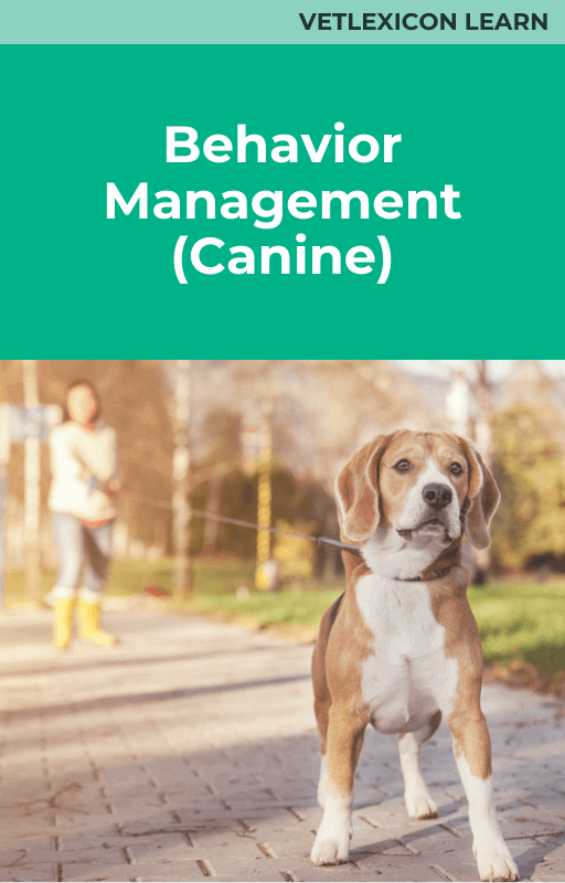 Behavior Management (Canine)