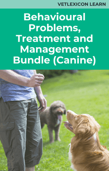 Behavioral Problems, Treatment and Management Bundle