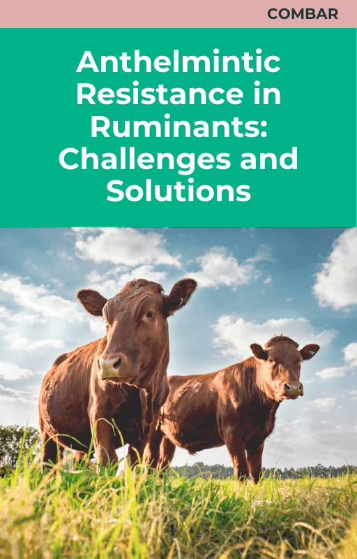 Anthelmintic Resistance in Ruminants: Challenges and Solutions