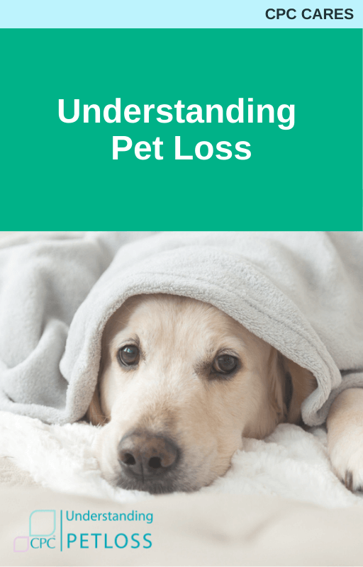Understanding Pet Loss