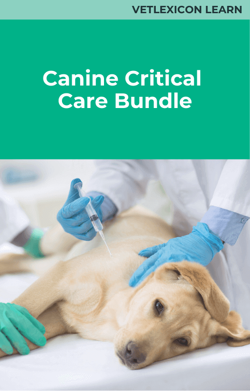 Canine critical care bundle