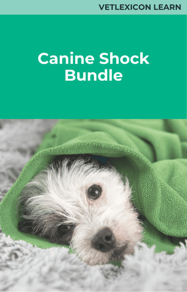 Canine Shock Bundle