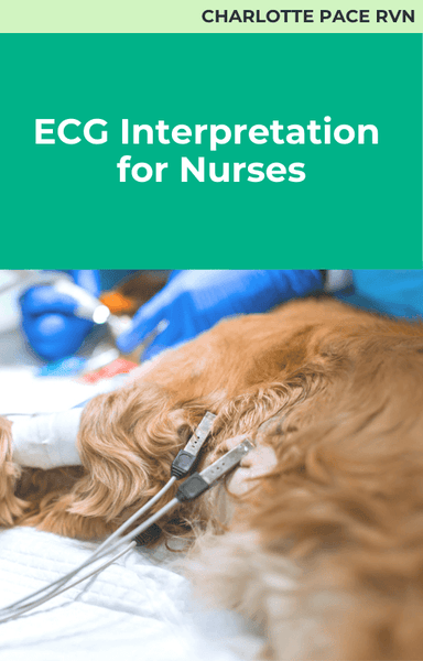 ECG Interpretation for Nurses