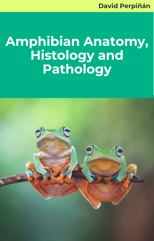 Amphibian Anatomy, Histology and Pathology